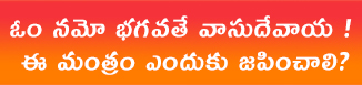 ఒకవేళ నాశక్తి సన్నగిల్లిందా? కలియుగం ఆరంభంలో కృష్ణుడు వలన నా రాక ఆలస్యం అయింది. ఇదేమైన శ్రీకృష్ణుడి మాయా ప్రభావమా? అసలు ఇంతకీ ఆ ముసలివాడు ఎవ్వడు. శివుడా? విష్ణువా? అనుకుంటూ ఉండగా అటుగా వెళ్తున్న ''వేదవ్యాసుడు'' కనిపించాడు. కలి వెంటనే వ్యాసుడు దగ్గరికి వెళ్లి మహానుభావ సమయానికి వచ్చావు. నా సందేహాన్ని నివృత్తి చేయండి. అన్నాడు. వ్యాసుడు నవ్వి. ఇది నీరాజ్యం. ఈకలికాలం నీది. నీకు సందేహమా? ఎఇద్దరుని సక్రమంగా ఉండనివ్వవు. ఎవరైనా కలిసున్నారంటే కళ్ళలో నిప్పులు పోసుకుంటావు. ఇలాంటి నీకు నా అవసరం ఏముంది? ఇంతకి నువ్వు కుశలమే కదా!

కుశలమే! నారాజ్యంలో నేను కాకా నువ్వు పాలించవు. కదా! అదిగో ఆ దూరంగా వెళ్తున్నాడే ఆ ముసలివాడు ఎవరు? ఆయన్ని పట్టుకోబోతే నా బలం సరిపోవడం లేదు. ఇదసలు నా రాజ్యమేనా? లేక మీరందరూ కలిసి నన్ను మాయ చేస్తున్నారా? చెప్పండి అని వేడుకున్నాడు. వేదవ్యాసుడు నవ్వి, ఓహో అదా నీ సందేహం. అయన పరమ విష్ణు భక్తుడు. అయన జపించే నామం వలన విష్ణు శక్తి ఉత్పన్నమై నిన్ను దగ్గరికి రానివ్వదు. పట్టుకోవాలని ప్రయత్నించవా! విష్ణువు నిన్ను నాశనం చేసి కలియుగాన్నే లేకుండా చేస్తాడు. త్రికరణ శుద్దిగా నిత్యం '' ఒమ నమో భగవతే వాసుదేవాయ'' అనే నామాన్ని ఎవరు పఠిస్తూ ఉంటారో వారిని నువ్వు కనీసం తాకనుకూడా తాకలేవు. కనుక ''ఓం నమో భగవతే వాసుదేవాయ'' ఈ మంత్రాన్ని ప్రజలు పట్టుకునే లోపే నువ్వు పట్టుకో. లేదంటే నీ రాజ్యంలో నువ్వు ఉండలేవు. అని చెప్పి వెళ్ళిపోయాడు.
ఇంతటి మహత్తరమైన ఈ మంత్రాన్ని నిత్యం జపించండి.
ఓం నమో భగవతే వాసుదేవాయ
ఓం నమో భగవతే వాసుదేవాయ
ఓం నమో భగవతే వాసుదేవాయ
ఓం నమో భగవతే వాసుదేవాయ
ఓం నమో భగవతే వాసుదేవాయ